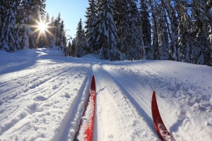 Участники забега &laquo;Лыжня России &mdash; 2026&raquo; в Мурманске могут оформить медицинский допуск в упрощенном порядке